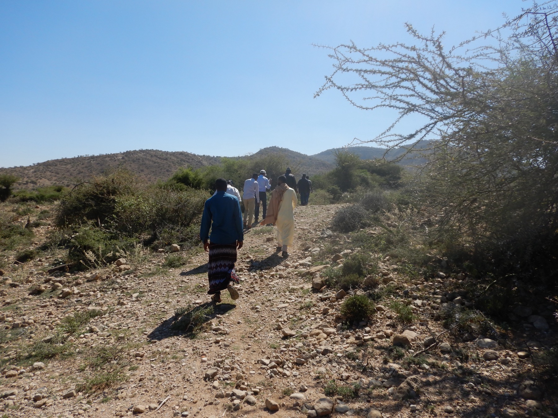Climate resilience